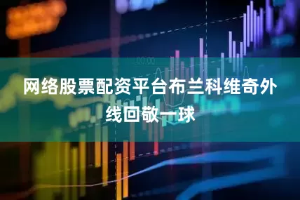 网络股票配资平台　　布兰科维奇外线回敬一球
