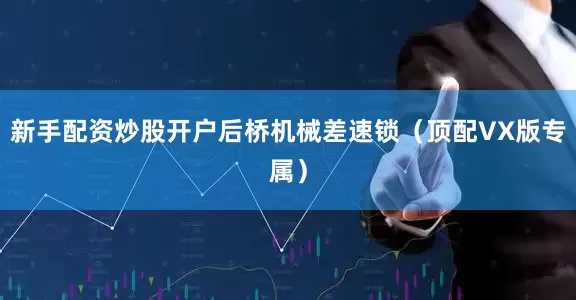 新手配资炒股开户后桥机械差速锁（顶配VX版专属）