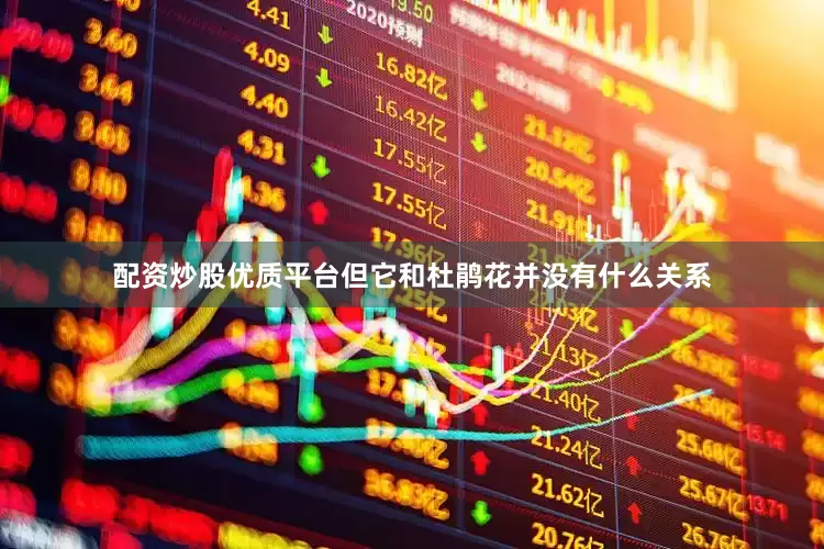 配资炒股优质平台但它和杜鹃花并没有什么关系