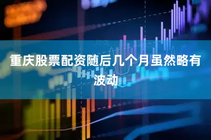 重庆股票配资随后几个月虽然略有波动