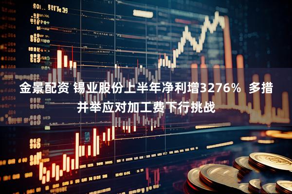 金景配资 锡业股份上半年净利增3276%  多措并举应对加工费下行挑战