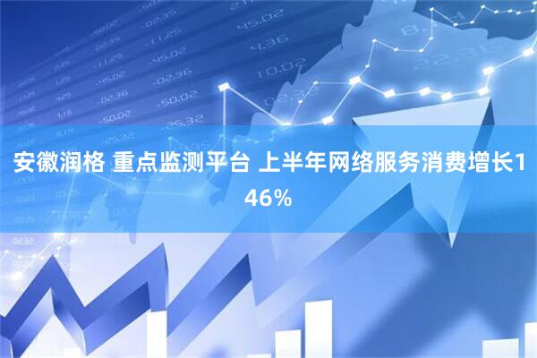 安徽润格 重点监测平台 上半年网络服务消费增长146%