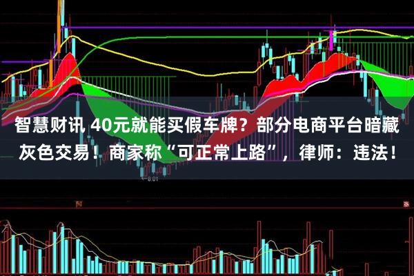 智慧财讯 40元就能买假车牌？部分电商平台暗藏灰色交易！商家称“可正常上路”，律师：违法！